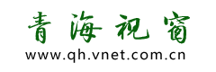 青海视窗logo
